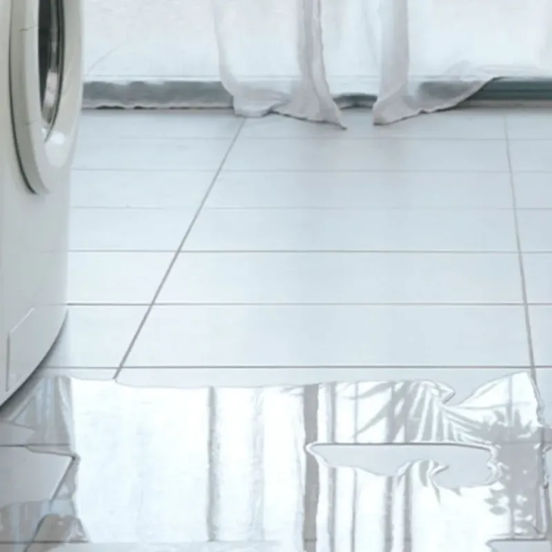 Appliance Leak Cleanup in Dubois, ID
