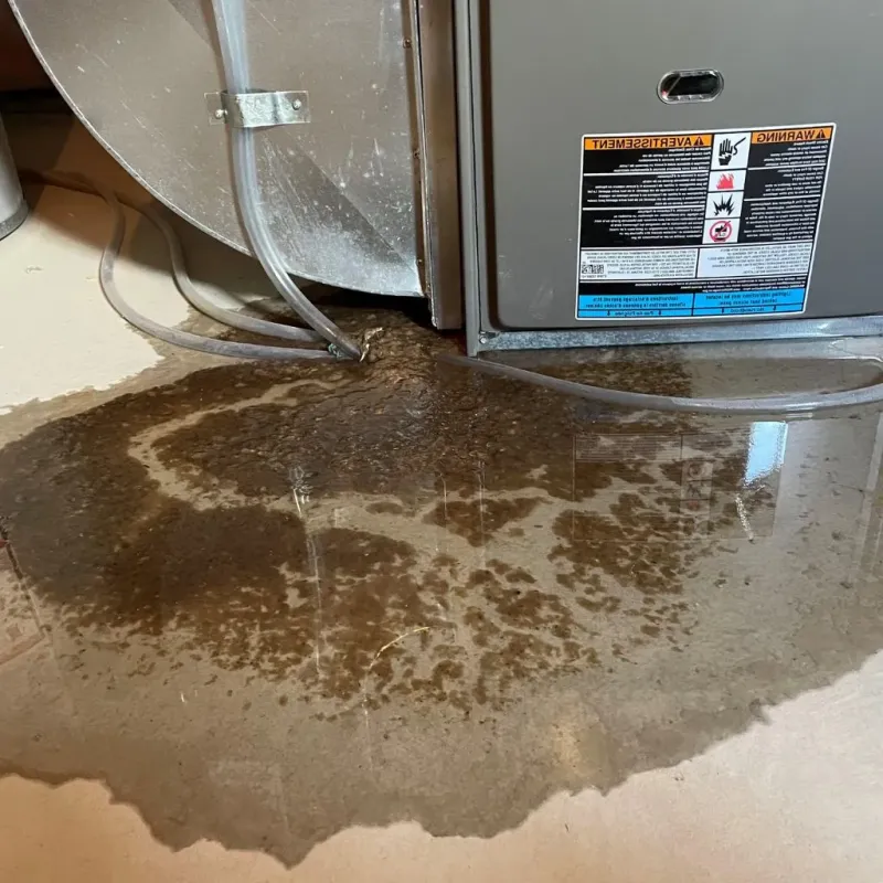 Pipe Burst and Leak Restoration in Dubois, ID
